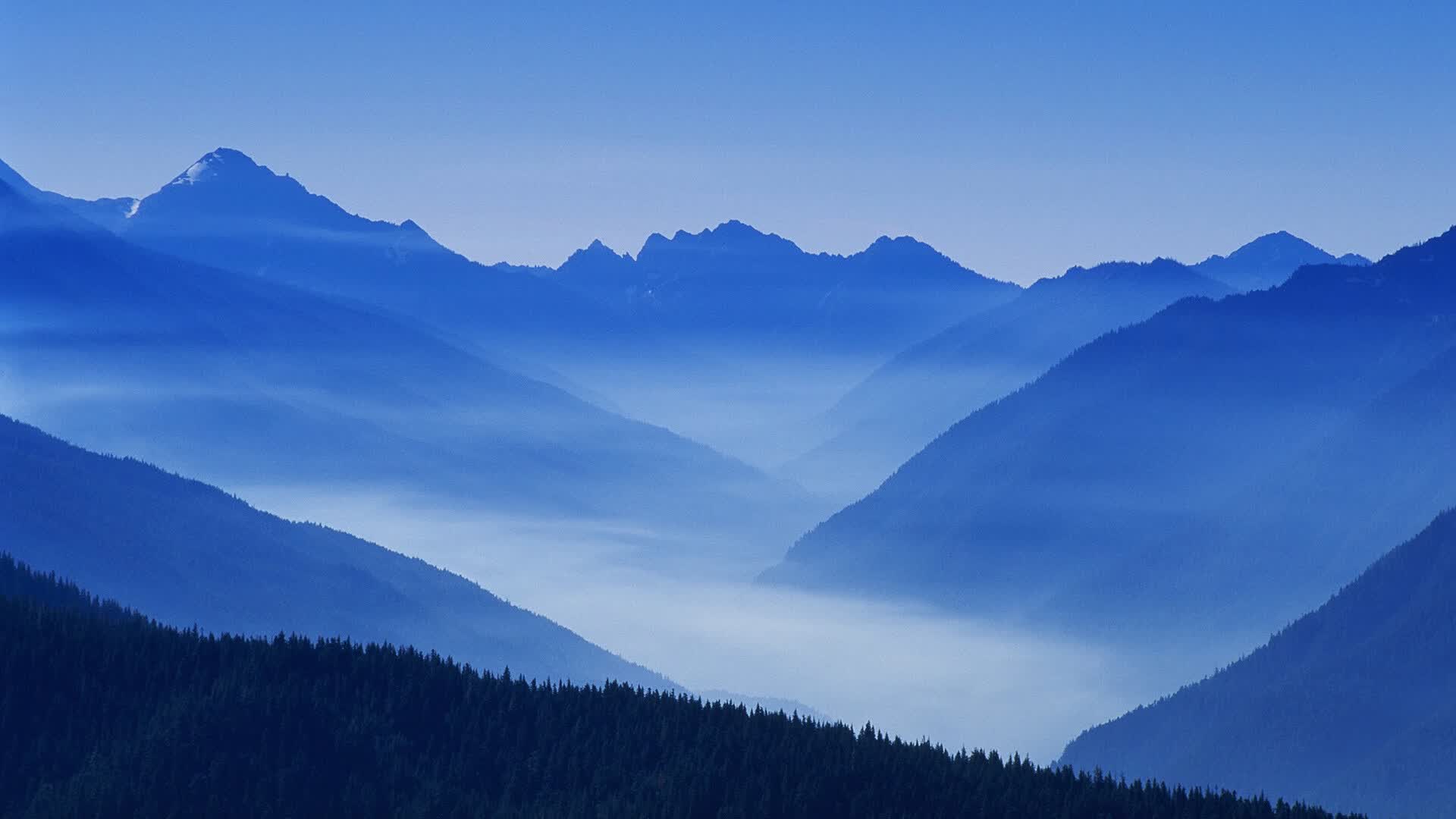 世界举重数据化训练:实时监测提升训练效率,举重世界纪录一览表